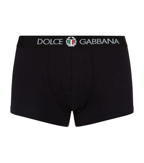 dolce and gabbana men's briefs.